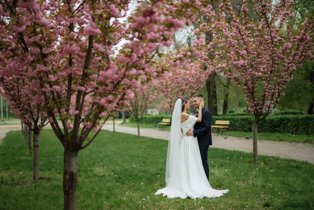 newlyweds walk in the park on the grass among cherry blossoms