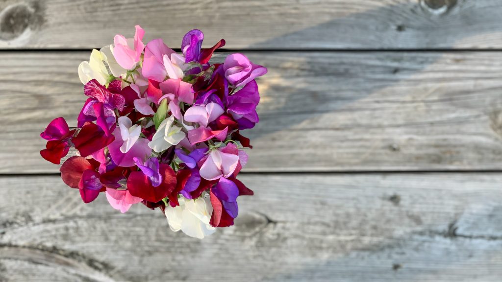 A top view of a bouquet of colorful sweet peas in a vase on a wooden table